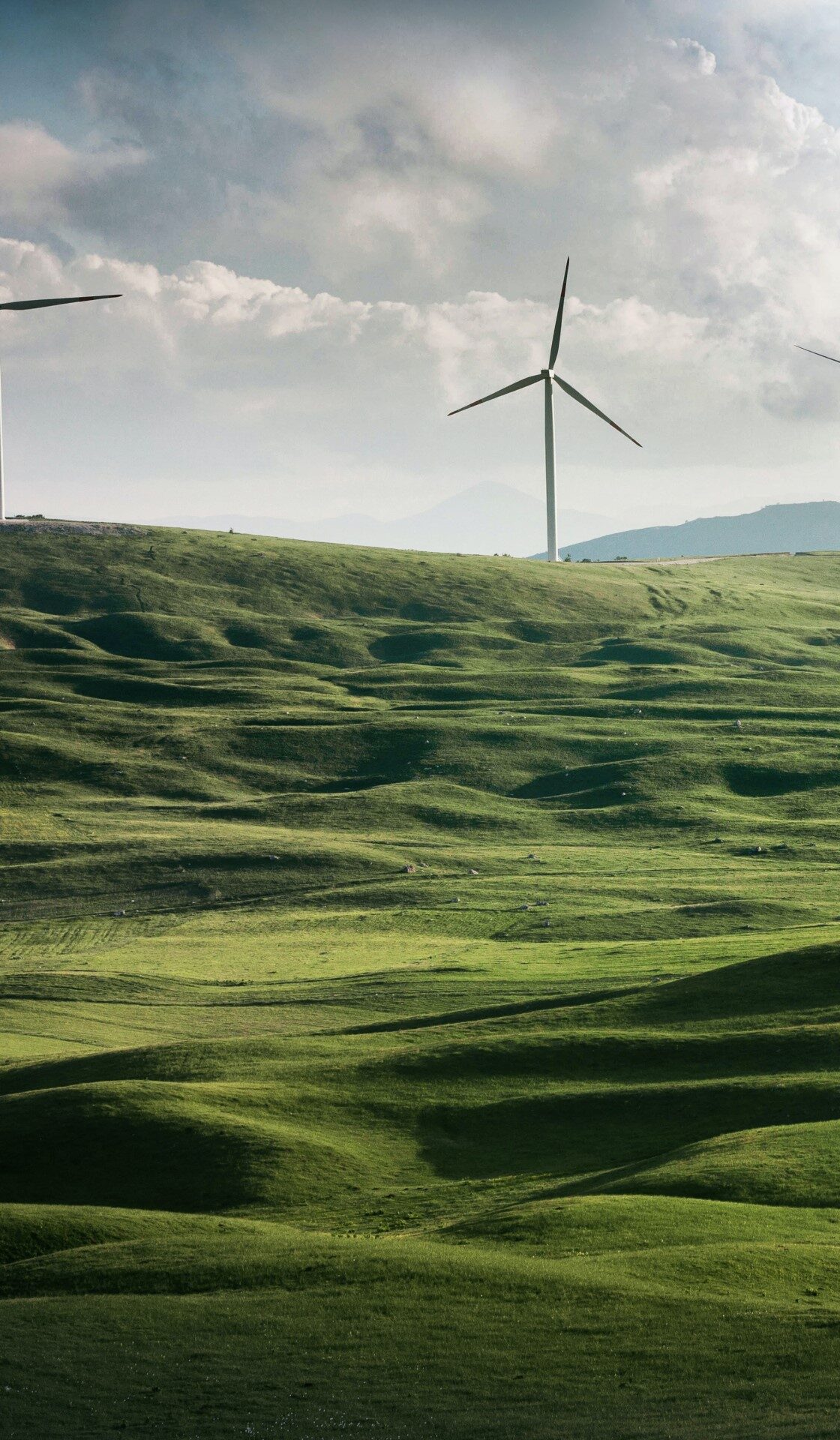 Picture of windmills